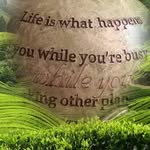 Heather Torris - @torrisheather - Instagram
