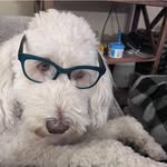 Heather Totman - @lakegirl_ht - Instagram