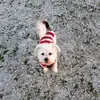 Heather Tracey - @heathertracey3 - TikTok