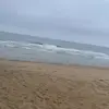 heathertrainor1 - @beachycountrychic - TikTok