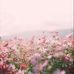 Heather Trimble - Facebook