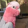 Heather Tunink - @heathertunink - TikTok