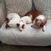 Heather Bowey - Facebook
