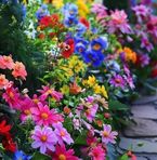 Heather Vee Villa - Facebook
