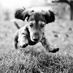 Heather Vineyard - @heatherevineyard - Instagram