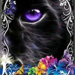 Heather Vineyard - @meowmommie1270 - Instagram