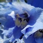 Heather Vowell - @heatherspalette - Instagram