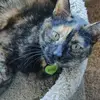 Heather Vyse - @heathervyse2 - TikTok