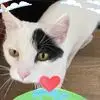 heatherwakefield61 - @hez.sez8 - TikTok