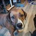 Heather Wallis - Facebook