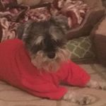 Heather Wallis - @heather.w.1299 - Instagram