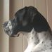 Heather Warnock - Facebook