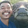 Đỗ Bảo Ngọc - @heatherweddle283 - TikTok