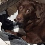Heather Weddle - @abhmommy - Instagram