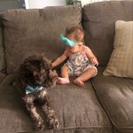 Heather Weddle - @_.lifewithmax - Instagram