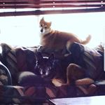Heather Weiland - @we3sheeps - Instagram
