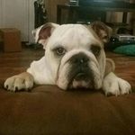 Heather Westfall - @heather.westfall.182 - Instagram