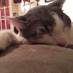Heather Strickland Whitehurst - @heatherstricklandwhitehurst - Instagram