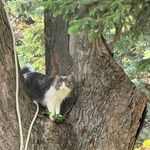 Heather Faulks Wiese - @hungrykoala814 - Instagram