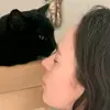 HeatherLynn - @wieseheather - TikTok