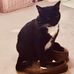 Heather Wightman - Facebook