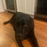 Heather Wilder Dodds - @heatherwilderdodds - Instagram