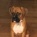 Heather Wiles - Facebook