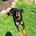 Heather Wilfong - Facebook