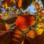 Heather Wilhelm - @wilhelmphoto - Instagram