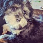 Heather Wilhelm Hutchinson - @heatherwilhelmhutchinson - Instagram
