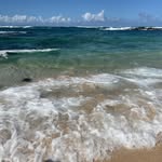 Heather Willison - @heather_willison23 - Instagram