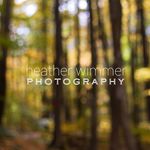 Heather Wimmer - @heatherwimmerphotography - Instagram