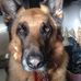 Heather Winkler - Facebook