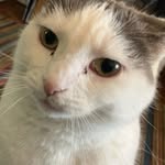 Heather Withers - @hwithers1 - Instagram