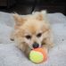 Heather Withers - Facebook