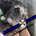 Heather Weisner - Facebook