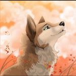 Heather - @heather_wolf__ - Instagram