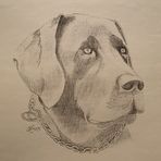 Heather Woodrow - Facebook