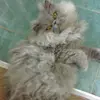 Heather Worthy - @heather.worthy3 - TikTok