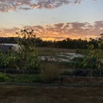 Heather Wright - @wright.family.farm - Instagram