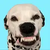 Heather Zhang - @heatherzhang54 - TikTok