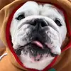 Heather Zhang - @heather.zhang - TikTok