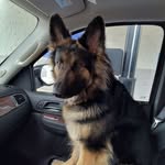 Joyce Heather-Zito - @jz75493 - Instagram
