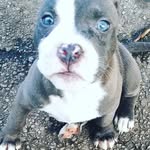heaven bernal - @heaven.bernal.9216 - Instagram