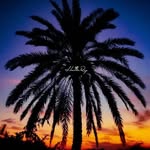 HeavenRoy - @heavenroy50 - Instagram
