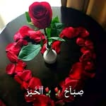 heba._.mansour - @heba._.mansour - Instagram