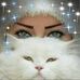 Heba Mostafa - Facebook