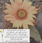 Heba Sadek - Facebook