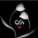 Heba Sadek - @sadek1236 - Instagram