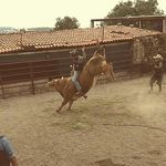 Hebert Daniel Gutierrez Nieves - @hebertdaniel.gutierreznieves - Instagram